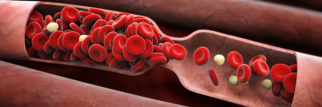 Can't see this
image? Click on 'load images' or 'always allow images for this sender'