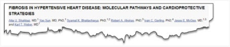 FIBROSIS IN HYPERTENSIVE HEART DISEASE: MOLECULAR PATHWAYS AND CARDIOPROTECTIVE STRATEGIES