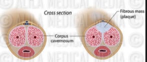 Daily Medical Discoveries Diagram