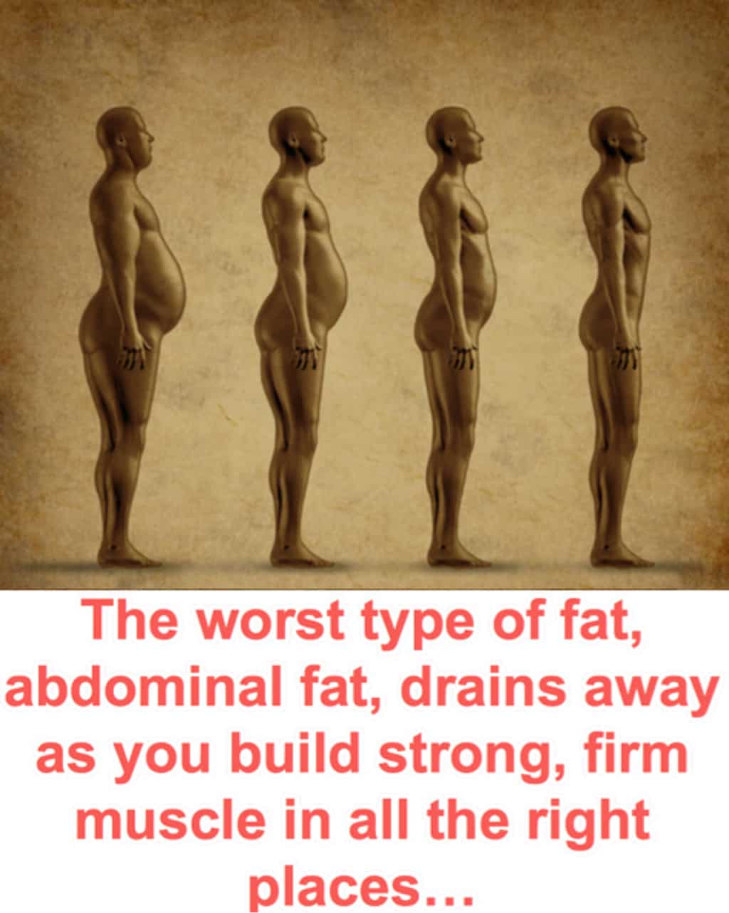 The worst type of fat, abdominal fat, drains away as you build strong, firm muscle in all the right places...