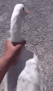 1-176