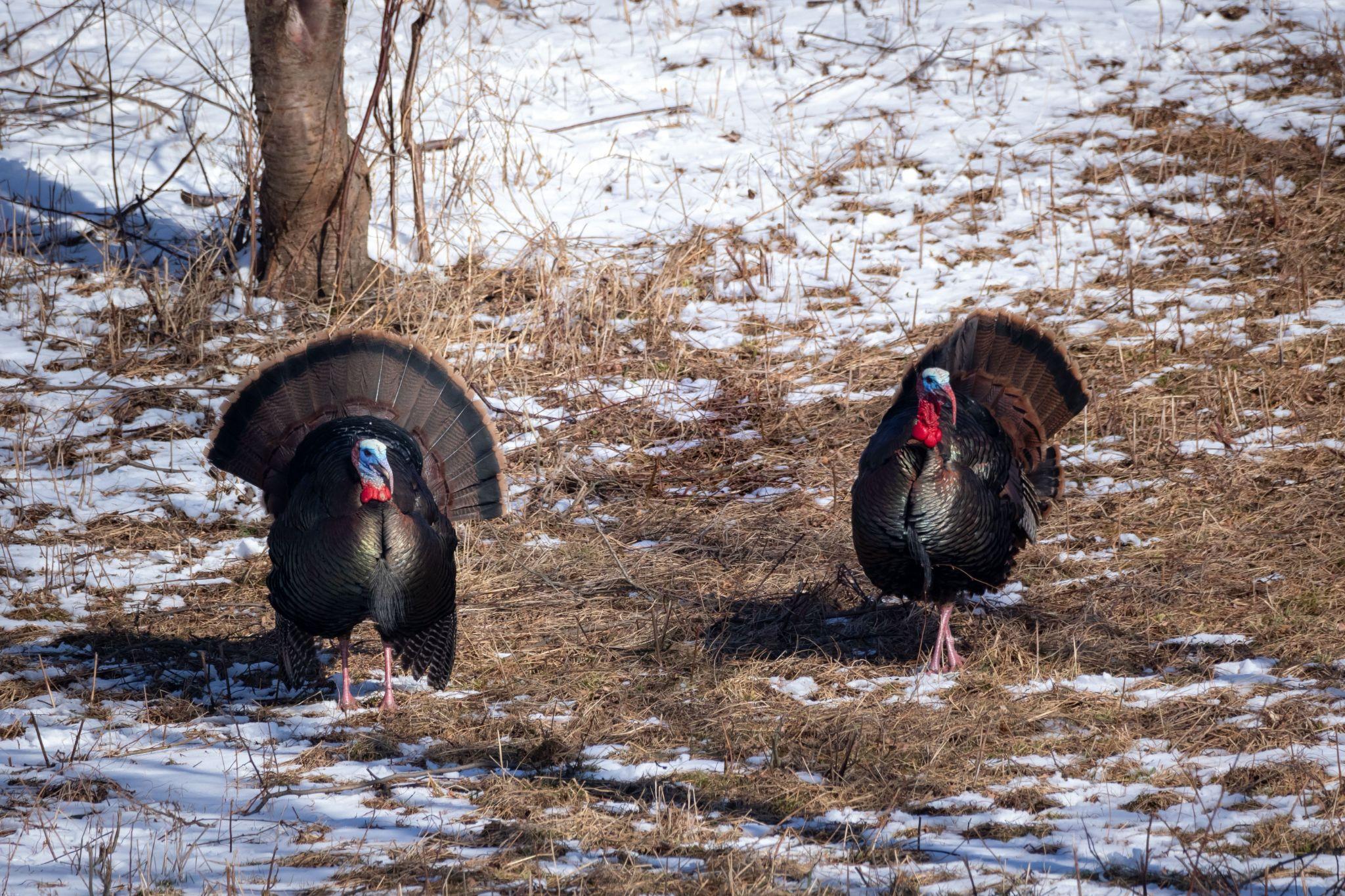 Can't see this image? Click on 'load images' or 'always allow images for this sender'