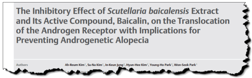 The inhibitory effect of Scutellaria baicalensis extract and its active compound, baicalin, on the translocation of the androgen receptor with implications for preventing androgenetic alopecia.