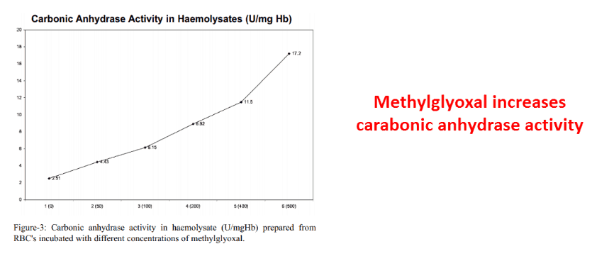 Methyglyoxal increases carabonic anhydrase activity