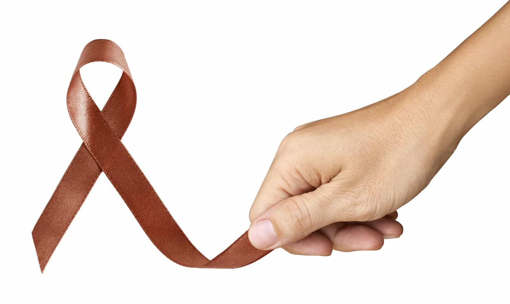 Can Estrogen cause prostate cancer? Can Estrogen cause prostate cancer?