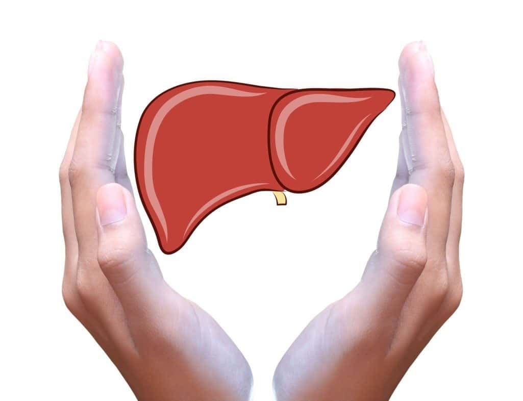 Saturated fats may heal your liver -- here's how
