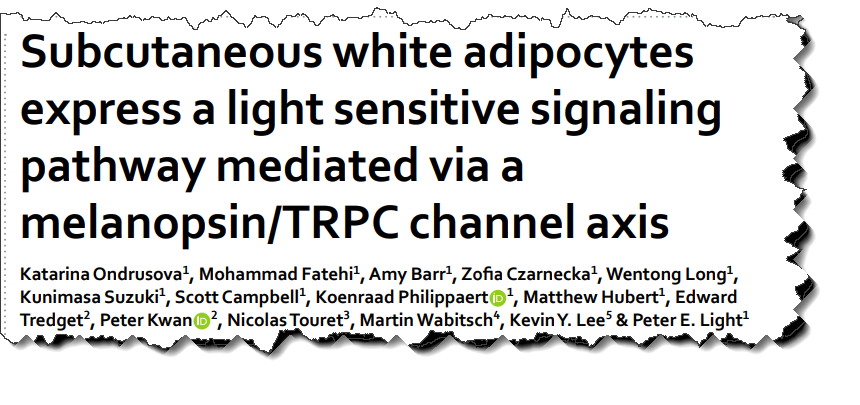 Can't see this image? Click on 'load images' or 'always allow images for this sender'