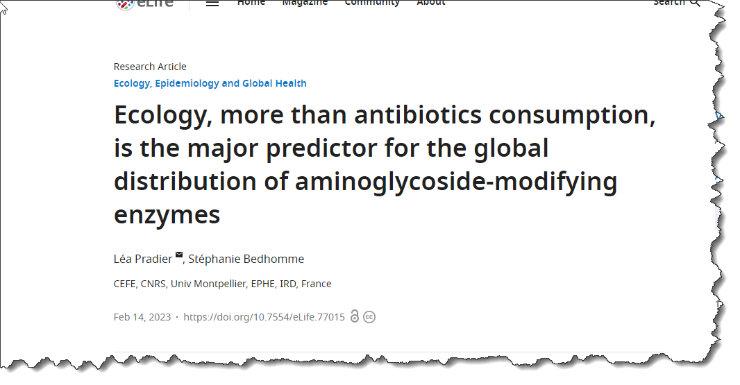 Can't see this image? Click on 'load images' or 'always allow images for this sender'