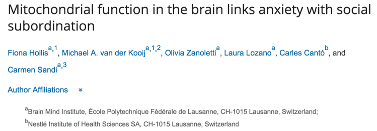 Can this common vitamin lower anxiety as well as Xanax?