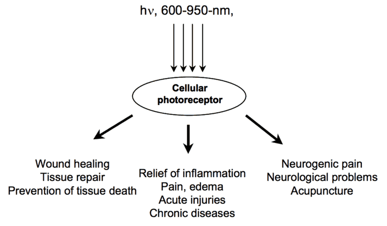 Can light kill pain and heal wounds?