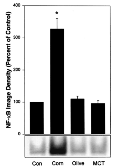 Corn oil increased cell proliferation ~3.5-fold