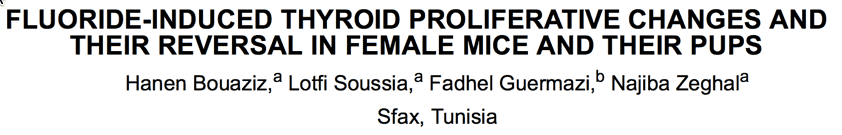 FLUORIDE-INDUCED THYROID PROLIFERATIVE CHANGES AND THEIR REVERSAL IN FEMALE MICE AND THEIR PUPS