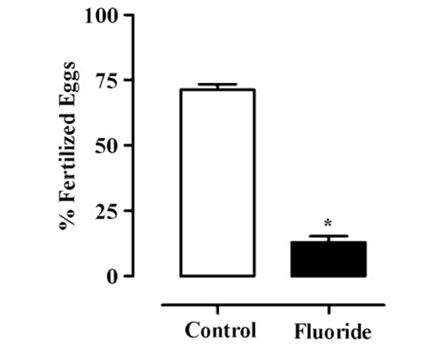 Does fluoride in your drinking water hurt your thyroid?