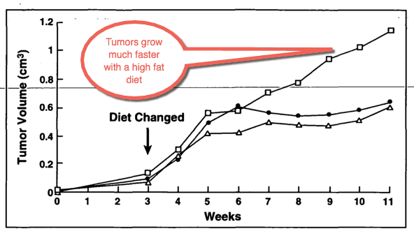 Fat and fish oil increase prostate tumor size and severity