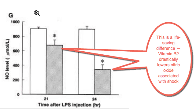 This simple vitamin may render antibiotics "obsolete"