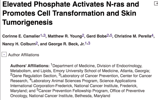 Are you suffering from excess phosphorus in your diet?