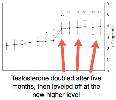 Increase testosterone and maintain it