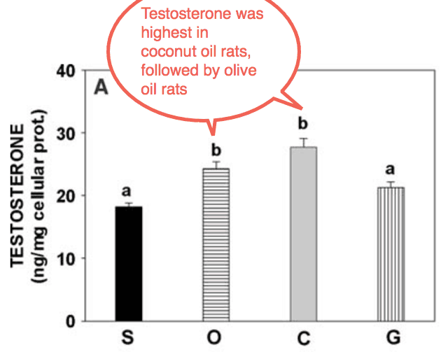 This bad fat depresses your testosterone