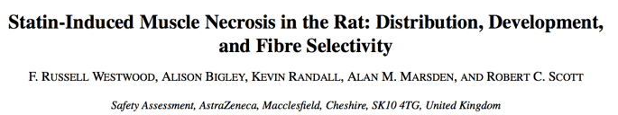 Statin-Induced Muscle Necrosis in the Rat: Distribution, Development, and Fibre Selectivity