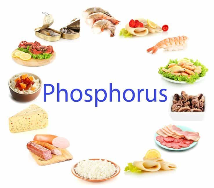 Are you suffering from excess phosphorus in your diet?