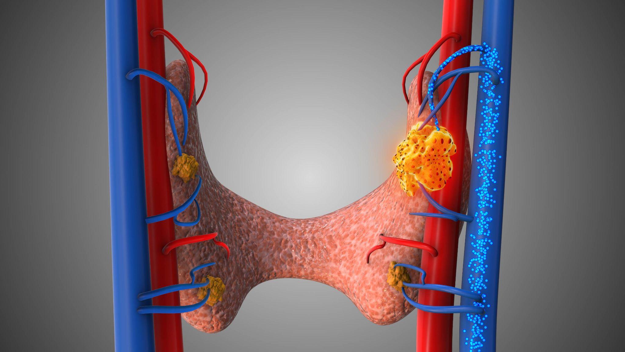 Can't see this image? Click on 'load images' or 'always allow images for this sender'