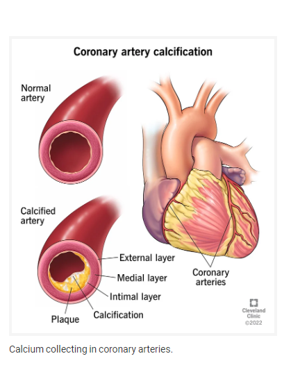 Can't see this image? Click on 'load images' or 'always allow images for this sender'