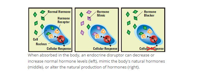 Can't see this image? Click on 'load images' or 'always allow images for this sender'