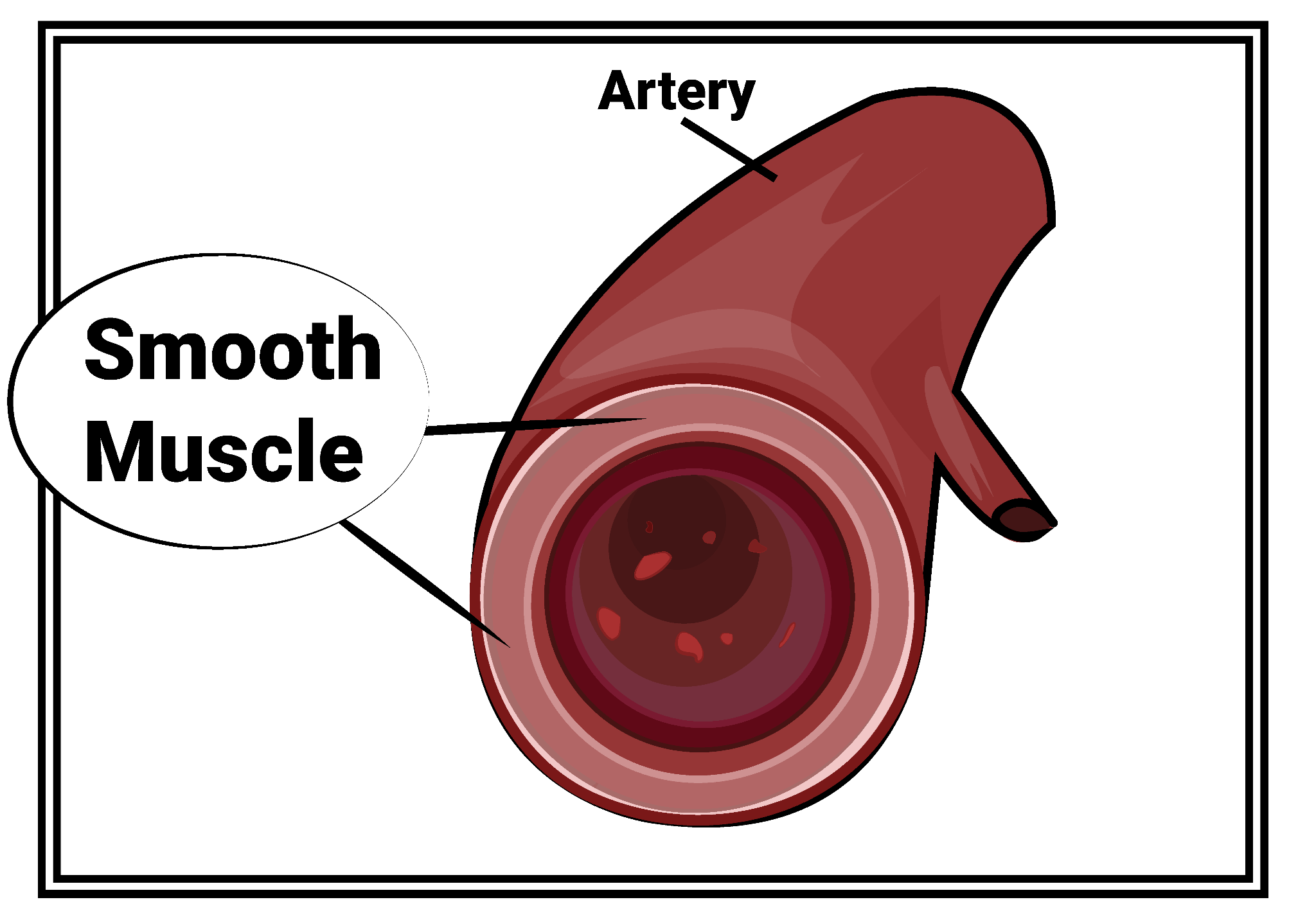 Can't see this image? Click on 'load images' or 'always allow images for this sender'