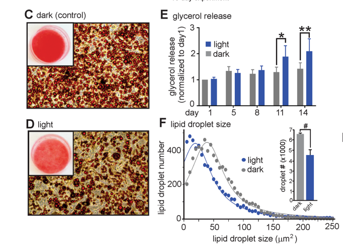 Can't see this image? Click on 'load images' or 'always allow images for this sender'