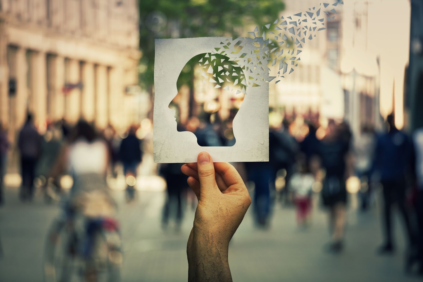Can't see this image? Click on 'load images' or 'always allow images for this sender'