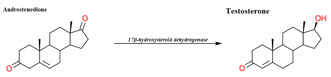 Can't see this image? Click on 'load images' or 'always allow images for this sender'