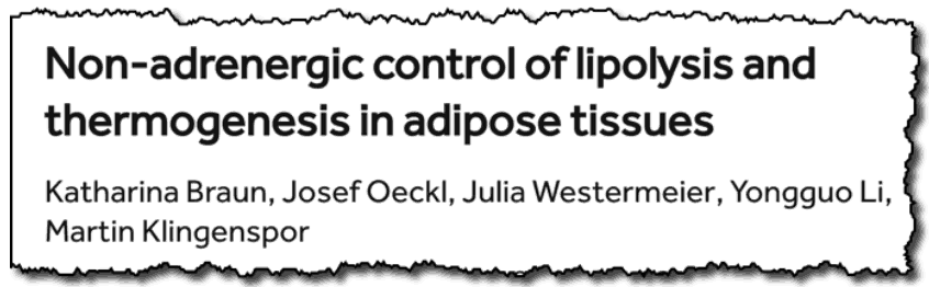Non-adrenergic control of lipolysis and thermogenesis in adipose tissues