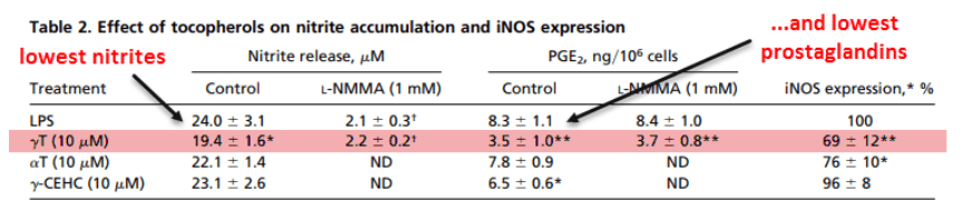 Effect of tocopherols on nitrate accumulation and iNOS expression