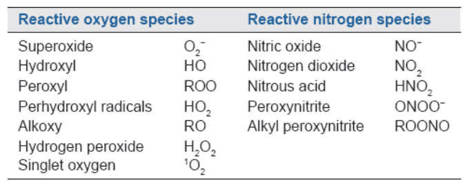 Reactive oxygen species and Reactive nitrogen species