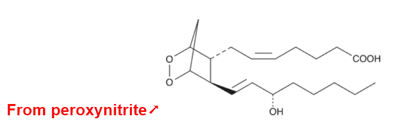 From peroxynitrite