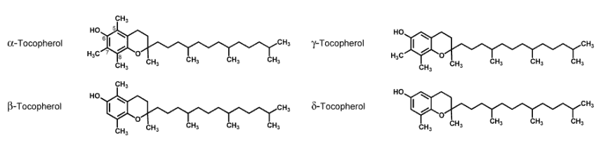 four subtypes of Vitamin E (alpha-tocopherol, beta-tocopherol, gamma-tocopherol, delta-tocopherol)