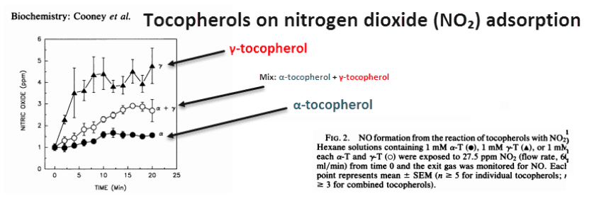 Tocopherols on nitrogen dioxide adsorption