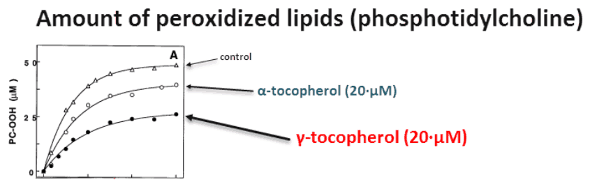 Amount of peroxidized lipids (phospotidylcholine)