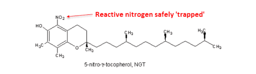 Reactive nitrogen safely "trapped"