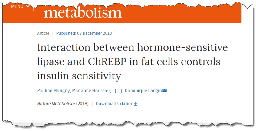 Interaction between hormone-sensitive lipase and ChREBP in fat cells controls insulin sensitivity