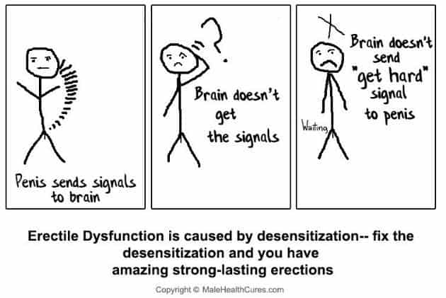 Erectile Dysfunction is caused by desensitization-- fix the desensitization and you have amazing strong-lasting erections