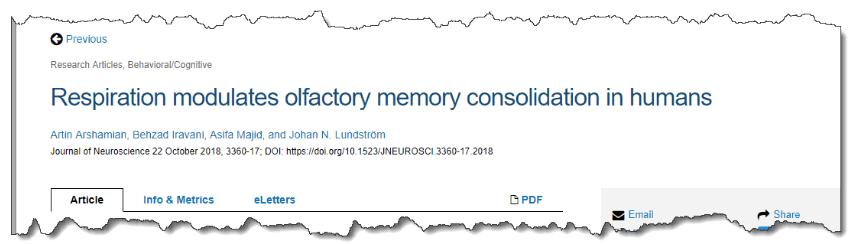 Respiration modulates olfactory memory consolidation in humans