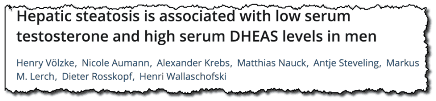 Hepatic steatosis is associated with low serum testosterone and high serum DHEAS levels in men