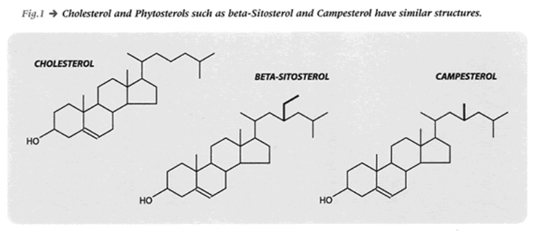 Cholesterol and Phytosterols such as beta-Sitosterol and Campesterol have similar structures