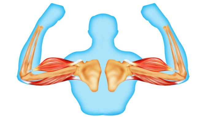 Use This Secret Hormone to Regain Muscle Mass (No Matter Your Age) Use This Secret Hormone to Regain Muscle Mass (No Matter Your Age)
