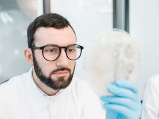 Male laboratory assistant working with bacteria in petri dish in the bacteriological department