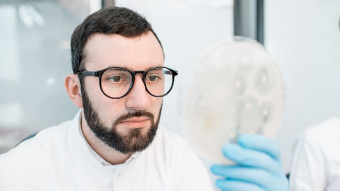 Male laboratory assistant working with bacteria in petri dish in the bacteriological department