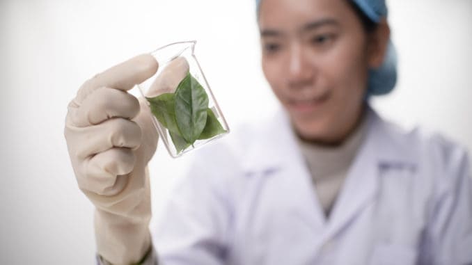 doctor woman scientist making herbal medicine in lab with herb leaves vitamin supplements mineral alternative treatment research.