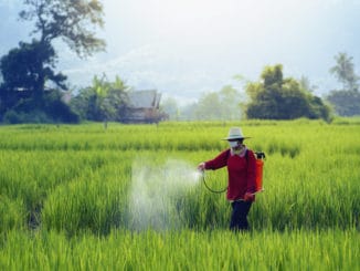 Pesticides is harmful to health. Background, field.