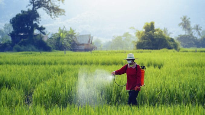 dreamstime_m_127994497 Pesticides is harmful to health. Background, field.